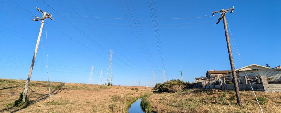 Two utility poles situated over a great deal of dry vegetation